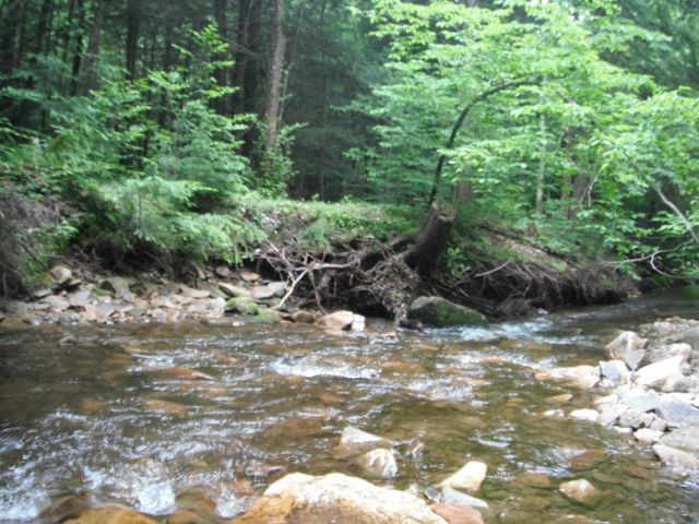 DSCF0435.jpg