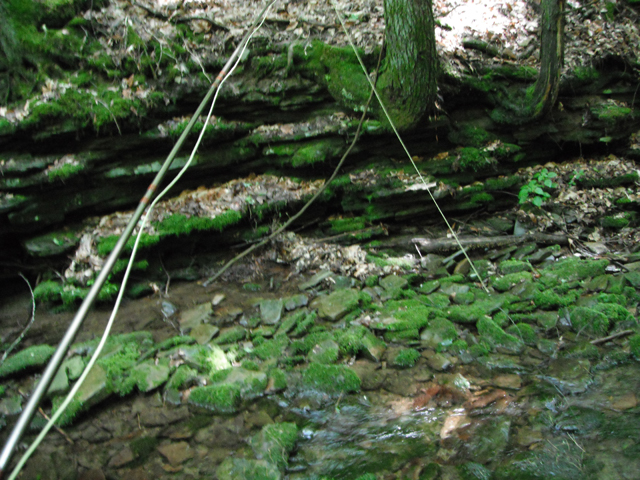 DSCF0438.jpg