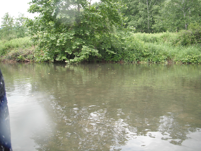 DSCF0466.jpg
