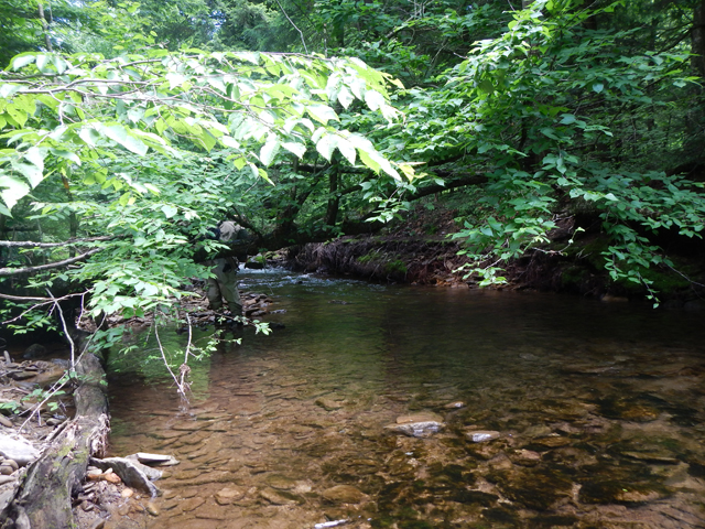 DSCN0166.jpg -                                These areas made casting challenging.