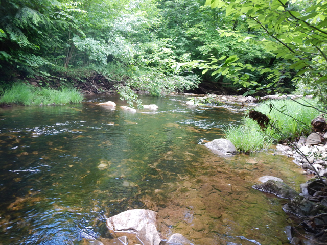 DSCN0167.jpg -                                The water was just right.