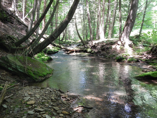 DSCN0191.jpg -                                That little fish came from this stretch.