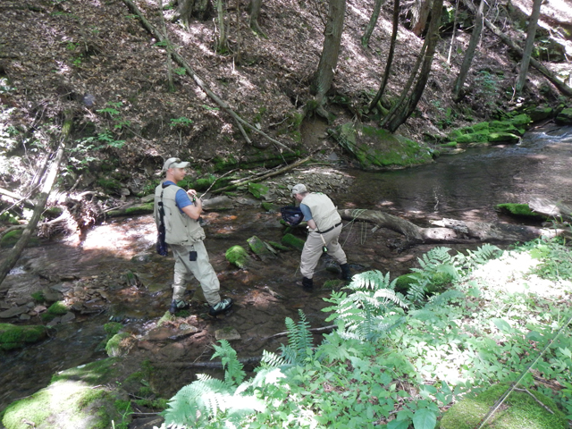 DSCN0192.jpg -                                John gets his first wild trout of the trip.