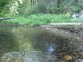DSCF0424