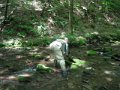 DSCF0448