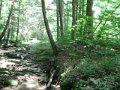 DSCF0451