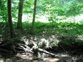 DSCF0454
