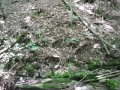 DSCF0459