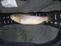 DSCF0463