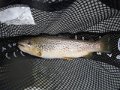 DSCF0465