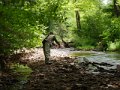 DSCN0156