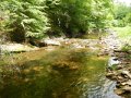 DSCN0160