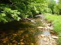 DSCN0163