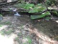 DSCN0170