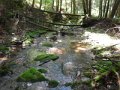 DSCN0171