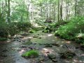 DSCN0176
