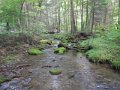 DSCN0179
