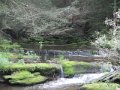 DSCN0200