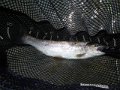 DSCN0208
