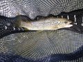 DSCN0209
