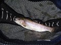 DSCN0271