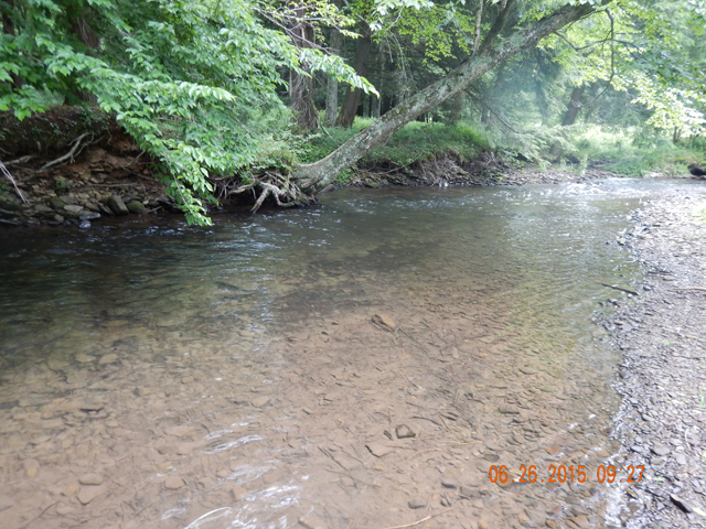 DSCN0467.jpg -                                