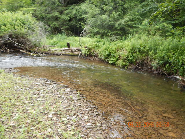 DSCN0473.jpg -                                