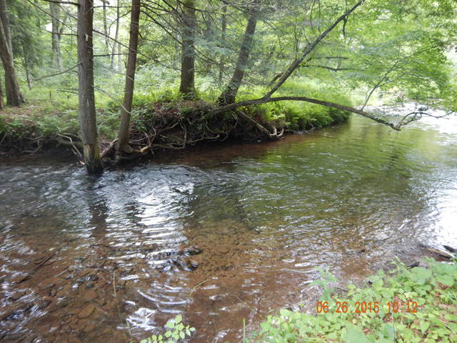 DSCN0475.jpg -                                