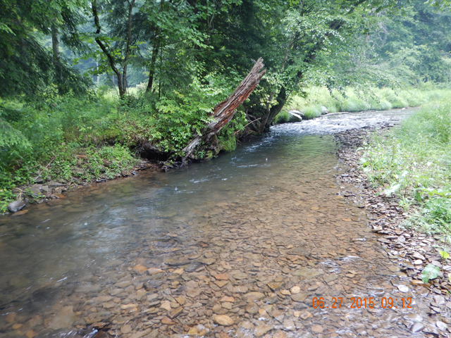 DSCN0479.jpg -                                