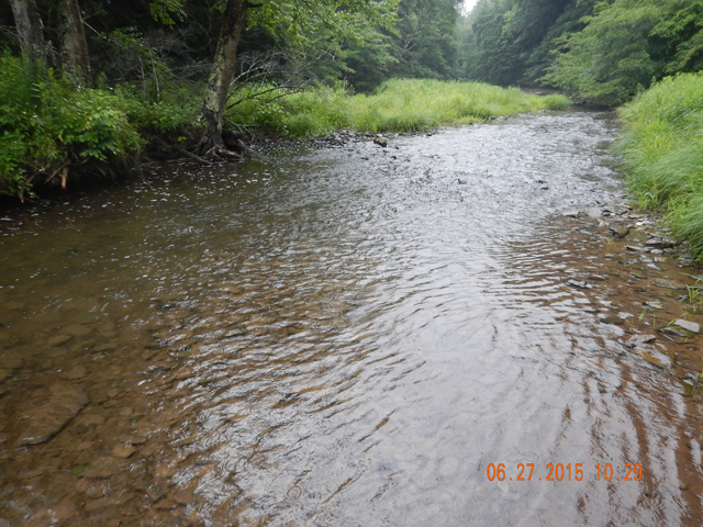 DSCN0484.jpg -                                