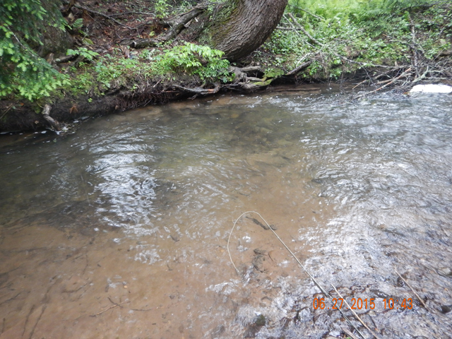 DSCN0487.jpg -                                