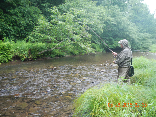 DSCN1539.jpg -                                