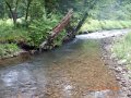 DSCN0471