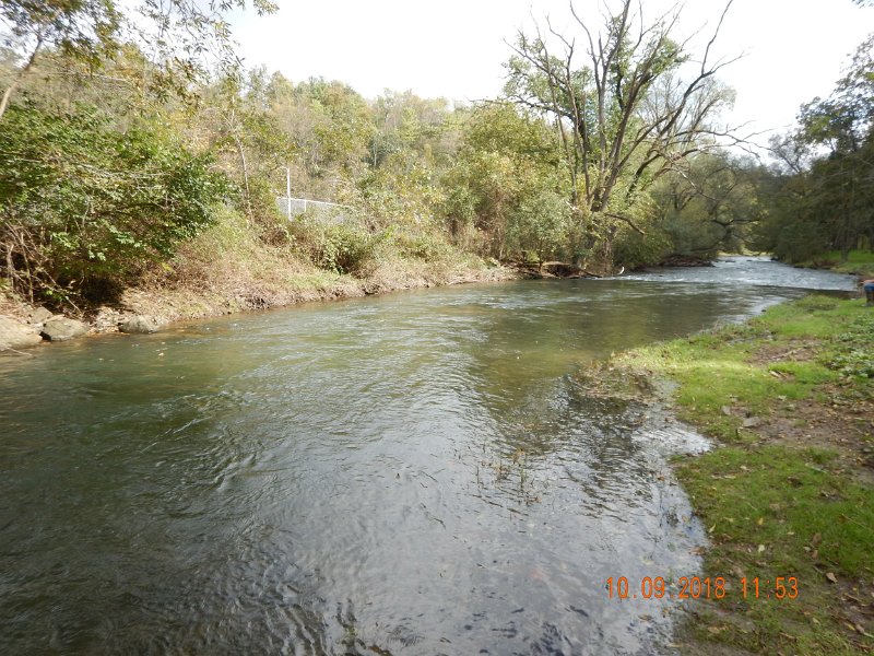 $Spring Creek005$.jpg - I had two more fish on from this spot but did not land them. 