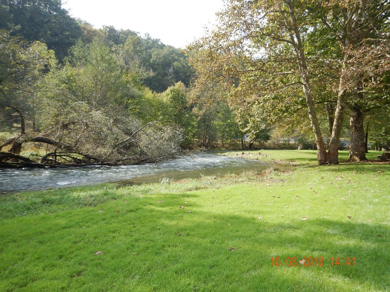 $Spring Creek010$.jpg - What was biting were the mosquitos.  They were horrible.