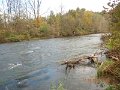 $Spring Creek002$