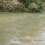 DSCN7015