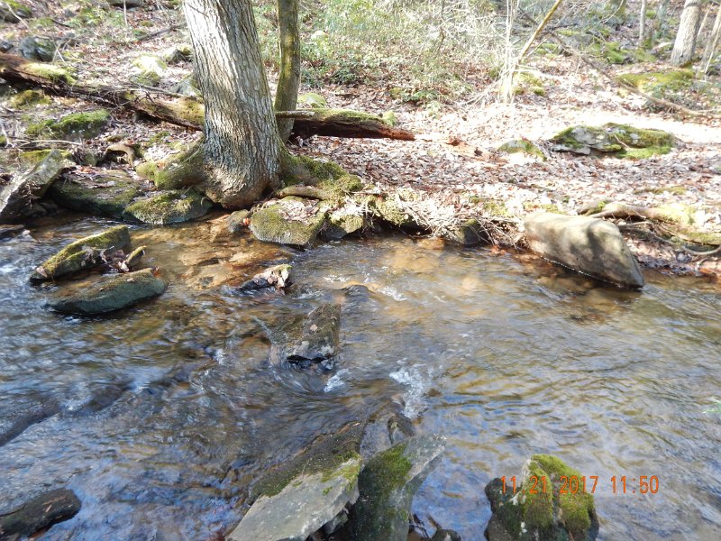 DSCN2779.jpg - The water was almost perfect....no, check that...it was perfect.  The fish in the previous photo came from this run.