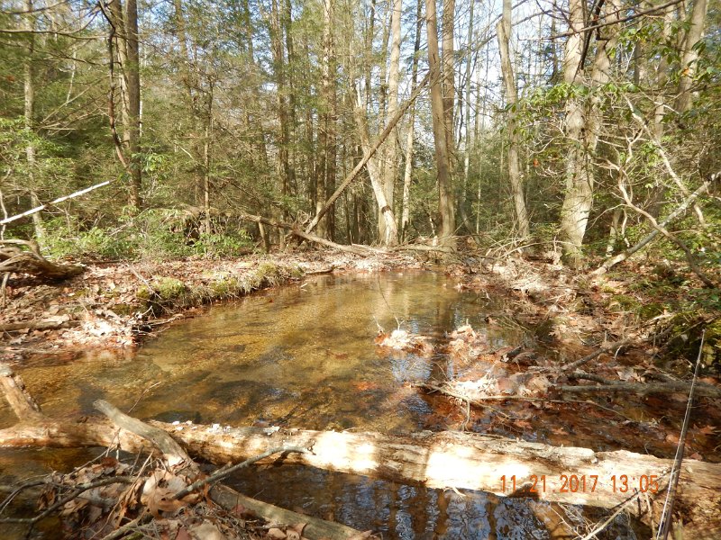 DSCN2789.jpg - Normally this is a dry fly hole.  Yes, I did try a dry and, No, they didn't want it.