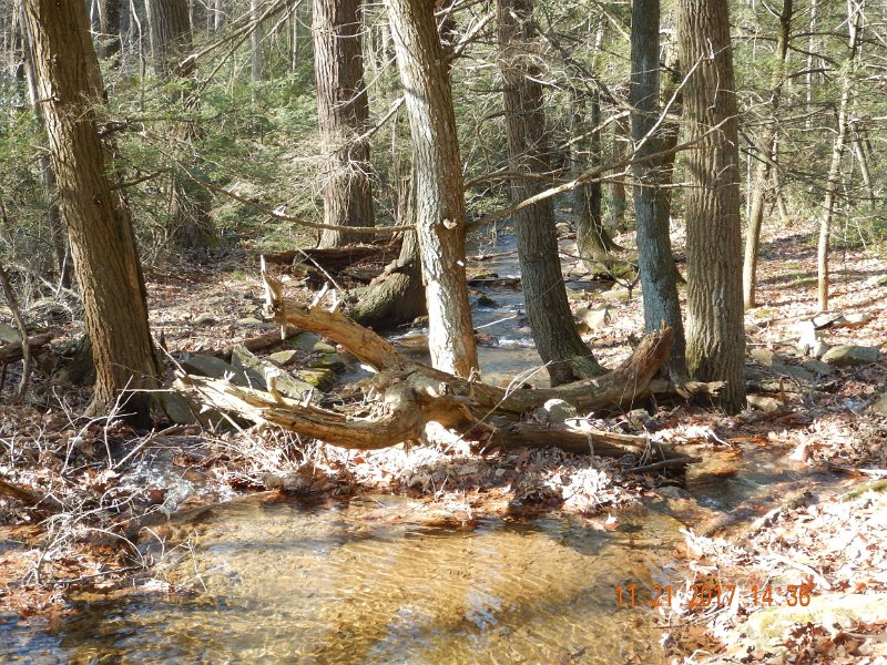 DSCN2800.jpg - This is just a shot of the stream.