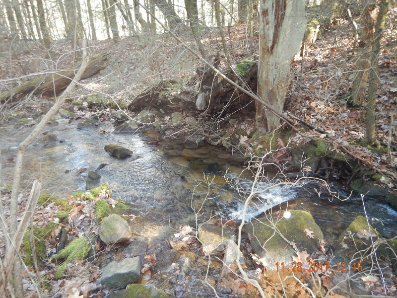 DSCN2880.jpg - Water was lower than last week.  No rain, duh.  But the fish were still there.