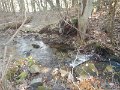 DSCN2880