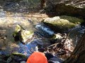 DSCN2887