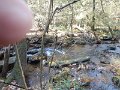 DSCN2891