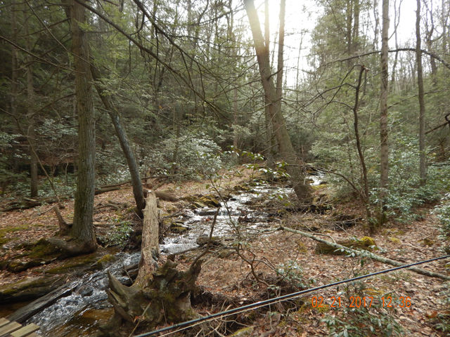 DSCN1842.jpg -                 Didn't know how the day would turn out so I thought I'd just get a scenic shot of the stream.              