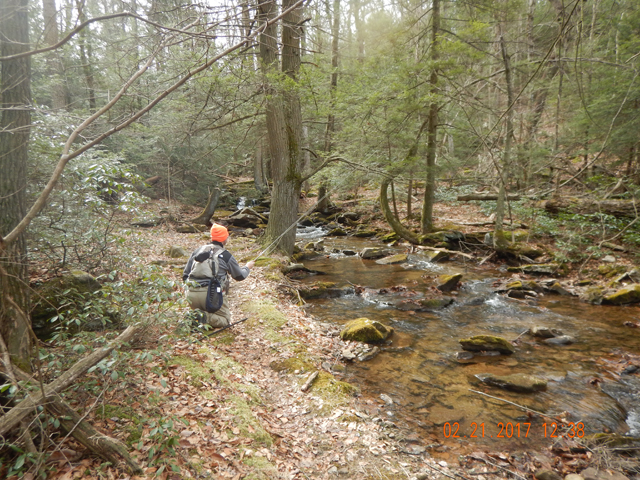 DSCN1843.jpg -                           The water was super clear and a low profile was absolutely necessary.  The orange hat didn't help though.     