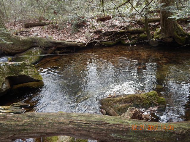 DSCN1849.jpg -                                Too bad the glare obscured the depth of this hole.  It was really quite deep for this small stream.