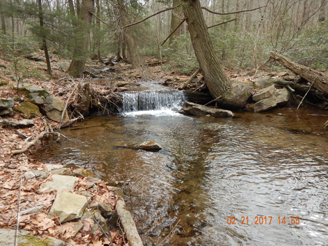 DSCN1857.jpg -                                We took several from this location, in addition to missing a bunch.