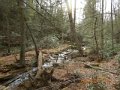 DSCN1842
