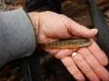 DSCN1846
